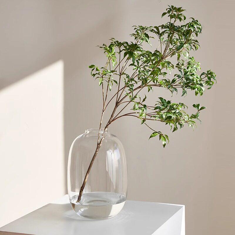 Elegant Acrylic Glass Vase for Fresh Flower Arrangements - Hydroponic Campanula, Willow Bark, and Horse Chestnut Display for Living Rooms