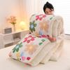 Free Shipping: Popular Lambswool Flannel Winter Quilt - Thick, Warm Bedding for Students (Single/Double Size)