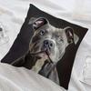 1Pc Pit Bull Portrait Print Throw Pillow Cover,Suitable For Sofa,Bedroom,Living Room,A Stylish Gift For Animal Lovers