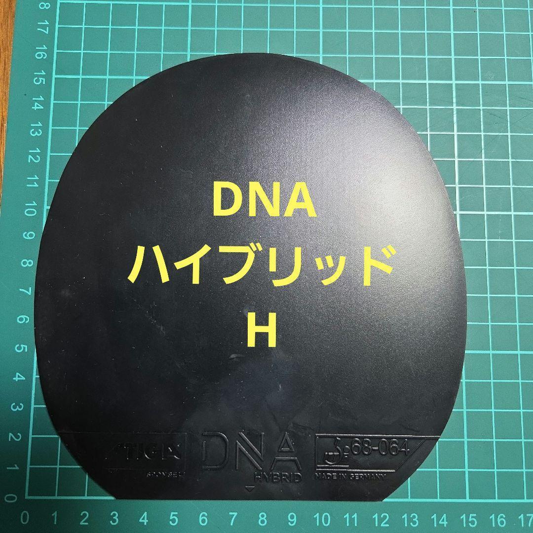 Used STIGA DNA Hybrid H Table Tennis Rubber