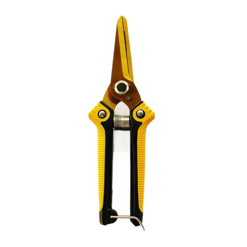 Stainless Steel Straight Head Pruning Shears for Garden, Fruit Picking, and Bonsai Trees