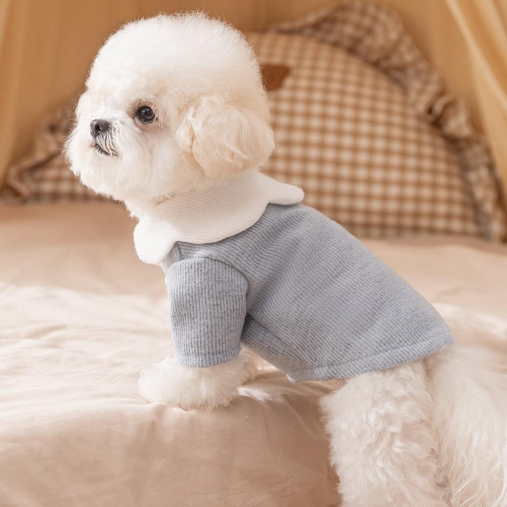 Autumn and winter pet clothes bottoming shirt dog clothes teddy bear small dog velvet two feet cute bear top