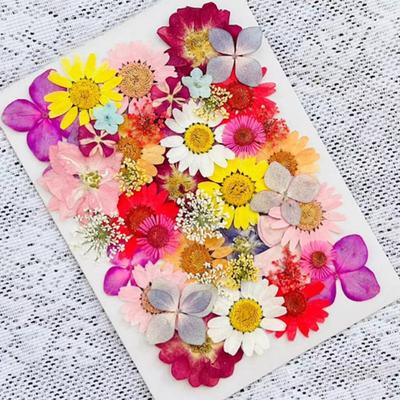 Dried Pressed Flowers Real Pressed Flowers Dry Leaves Bulk Natural Herbs Kit for Scrapbooking DIY Art Crafts Epoxy Jewelry Molds Soap Making