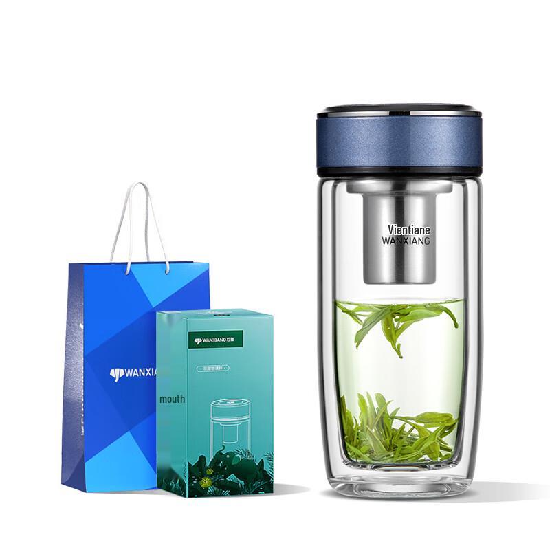 V270 Double-Wall Borosilicate Glass Mug with Lid