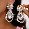 Exquisite Silver Needle Rhinestone Flower Water Drop Earrings - Elegant Luxury Statement Jewelry for Women