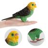 Simulation Bird Action Figures Parrot Macaws Budgerigar Lifelike Animals Model Kids Cognition Toys For Gifts