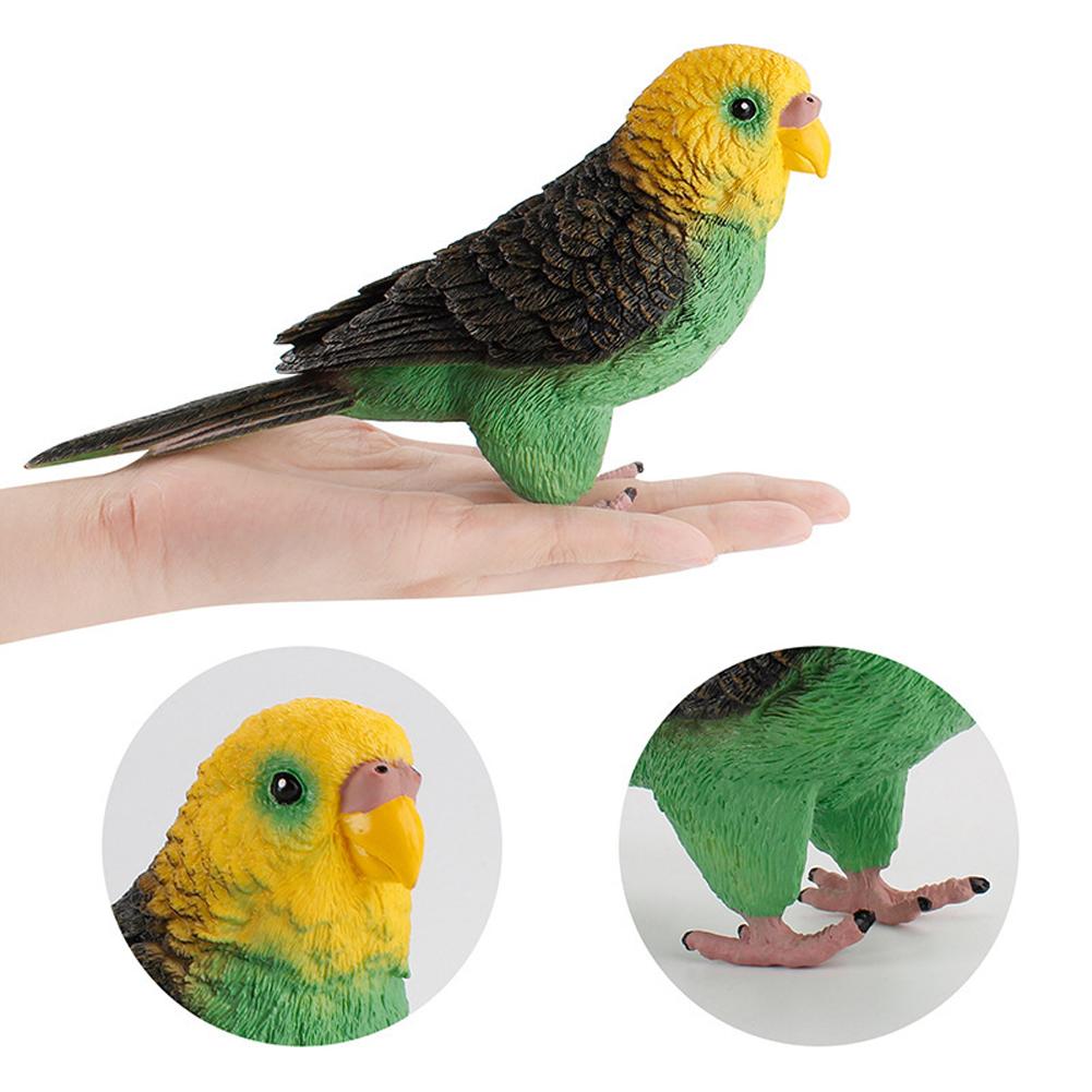 Simulation Bird Action Figures Parrot Macaws Budgerigar Lifelike Animals Model Kids Cognition Toys For Gifts