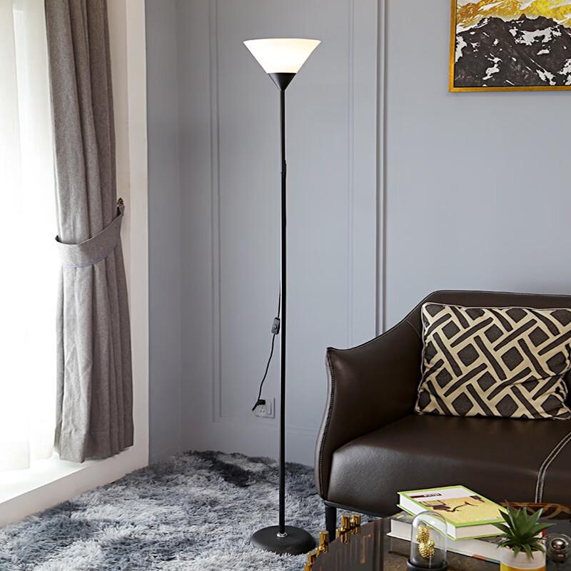 OEING Modern Simple Indoor Floor Lamp