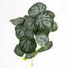 Mini Green Leaves Wall Hanging: Potted Pothos Monstera Planter for Decorative Flower Arrangements and Landscaping