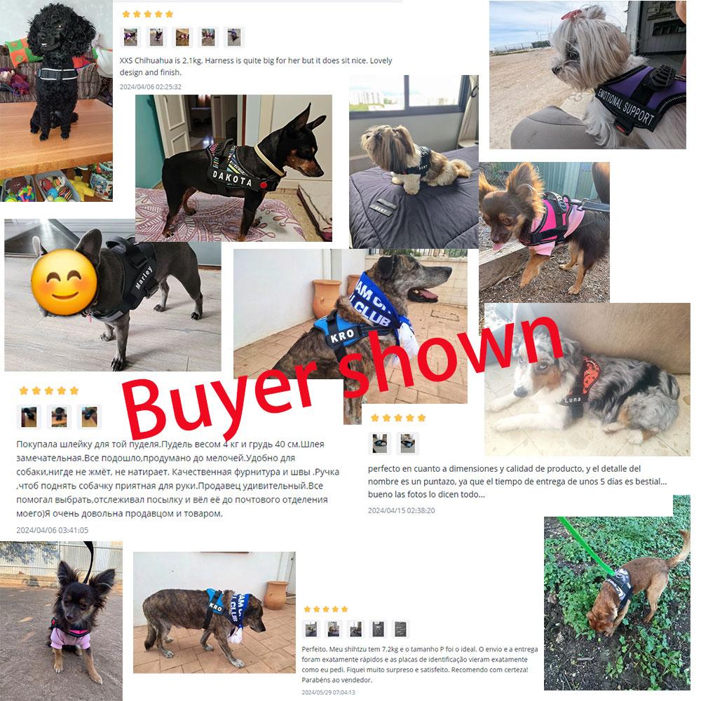 Süßes Haustiergeschirr Halsband für Welpen und Kätzchen Kleiner Hund Reflektierendes Westengeschirr Outdoor-Gehen Anti-Verlust Corgi Labrador Chihuahua