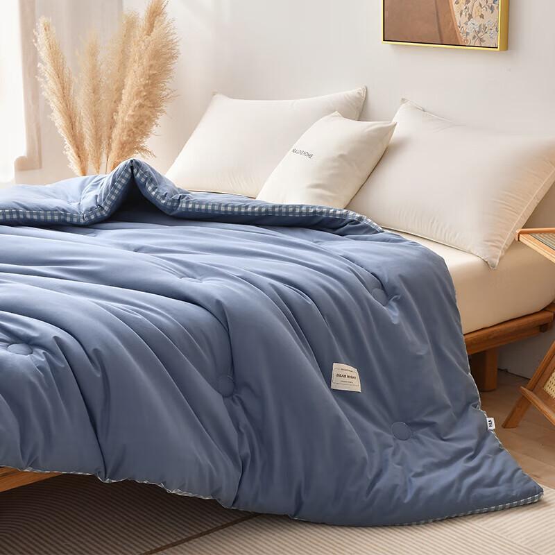 HLHOME Thick Winter Warm Quilt