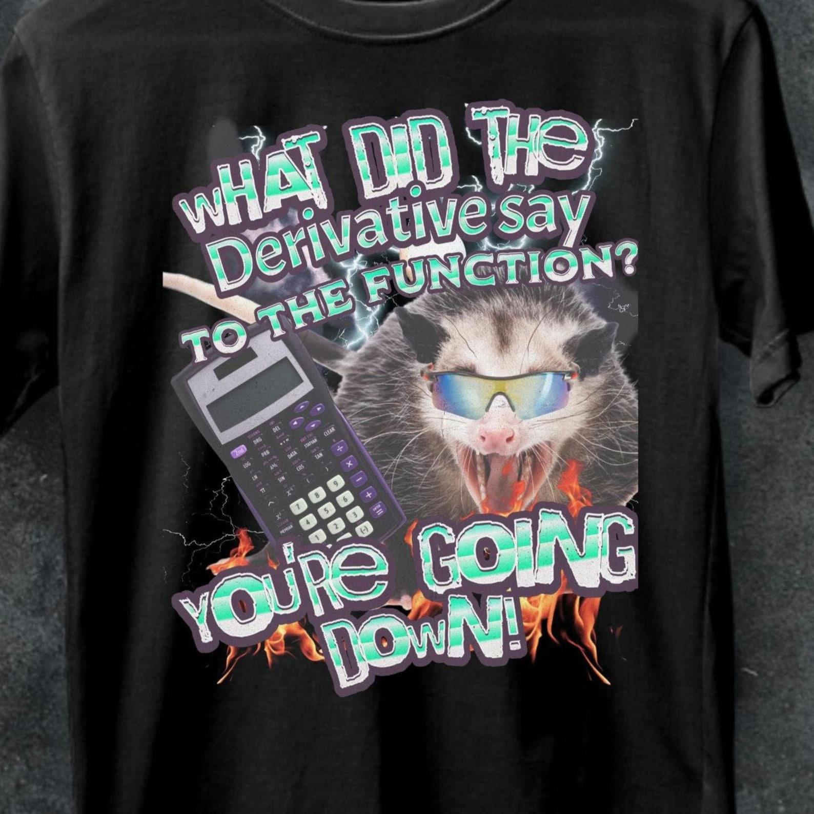 Funny Math Teacher T-Shirt, Raccoon Meme Tee S
