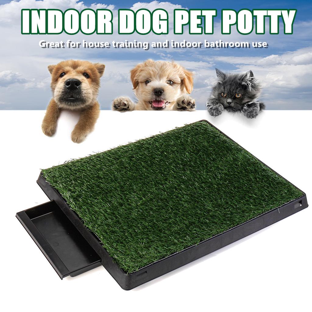 indoor dog mat