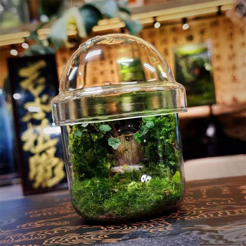 Micro Landscape Moss Glass Bottles Small Glass Ecological Bottle Green Plant Glass Terrarium Fun Plant Container Desktop Decor