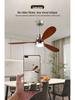 Nordic Modern LED Ceiling Fan Light for Living Room and Bedroom