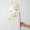 High Quality Luxury Flowers Latex 8 Heads Butterfly Orchids Artificial Real Touch Phalaenopsis Orchid Wedding Decor