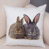 Home Sofa Kids Room Decor Cute Pet Animal Print Cushion Cover Pillowcase  Rabbit
