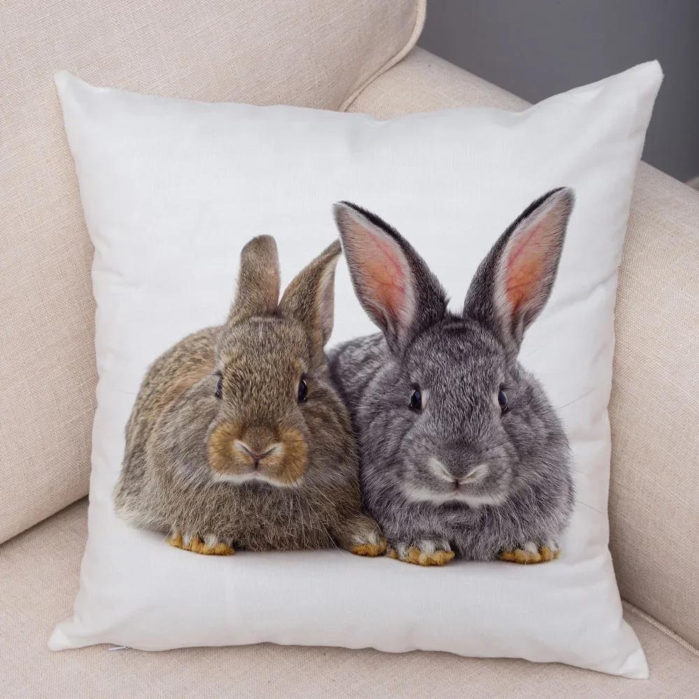 Home Sofa Kids Room Decor Cute Pet Animal Print Cushion Cover Pillowcase  Rabbit