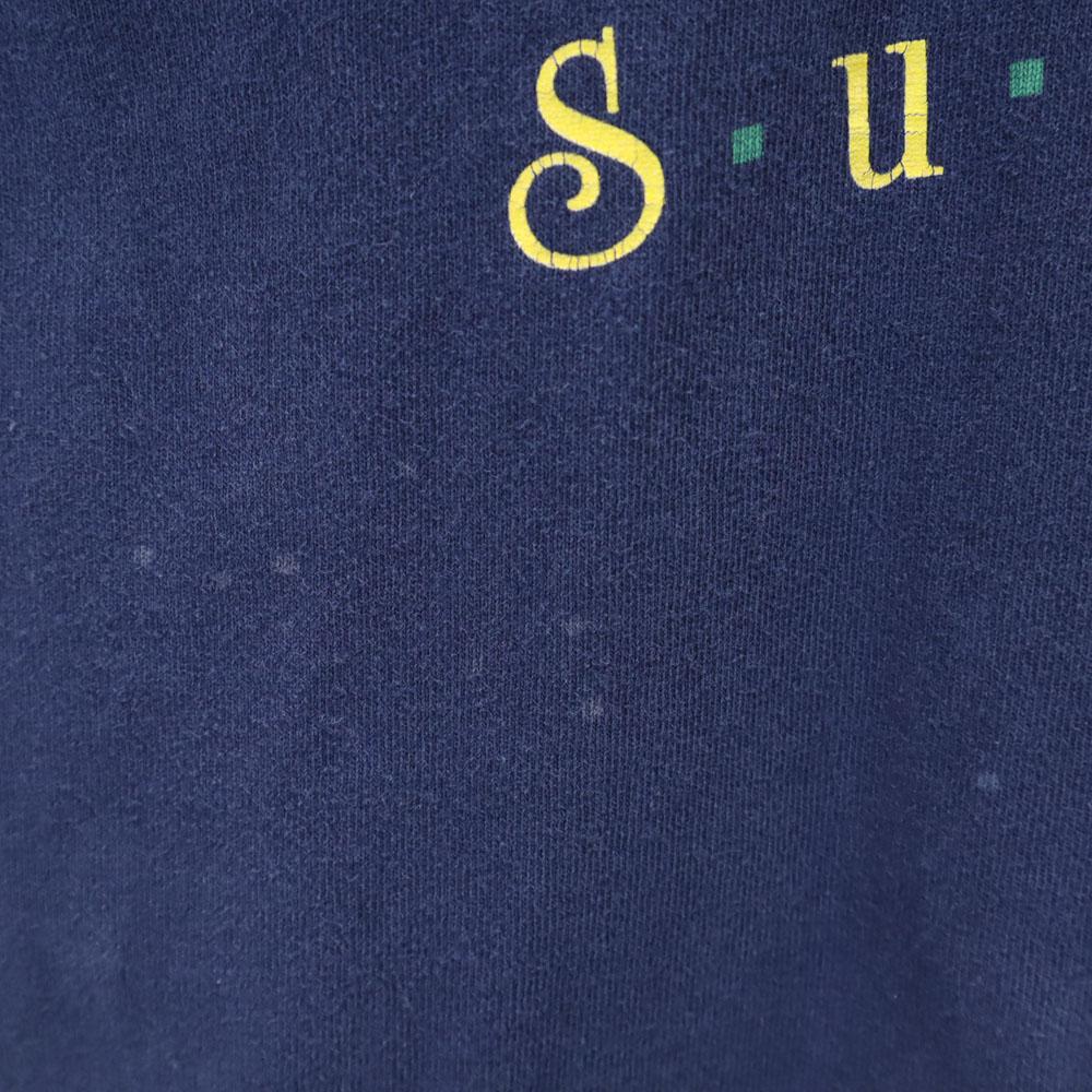 FRUIT OF THE LOOM 90s Made in USA Print Short sleeve KANSAS Sunflower T-shirt Men's Used