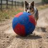 Indestructible Dog Herding Ball 45cm 55cm 65cm Large Size Scratch Resistant Inflatable Toy for Border Collies and Shepherds