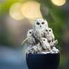 Creative White Owl Statue Stake Acrylic Animal Figurine Sculptures Garden Floor Plugs  Lawn