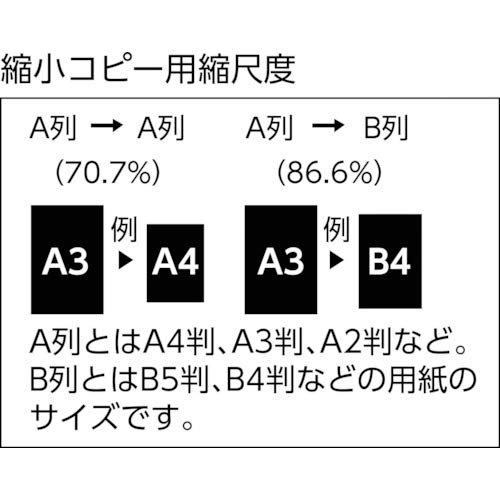 Shinwa Sokutei Triangular Scale A-10 JIS 10cm 70777
