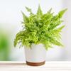 Flower Pot Straight Resin Round Flower Pot Balcony Vegetable  Flower Potted Flower Pot With Tray