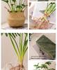 Nordic Green Artificial Plants: Dried Flower Ornaments for Home or Office Decor