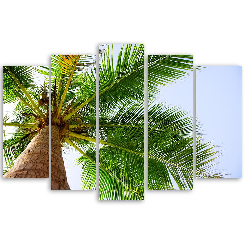 Five Piece Picture Canvas Print Palm