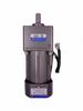 300W 220V Variable Speed Motor with 6GU3K-300K Reversible Gear Reducer