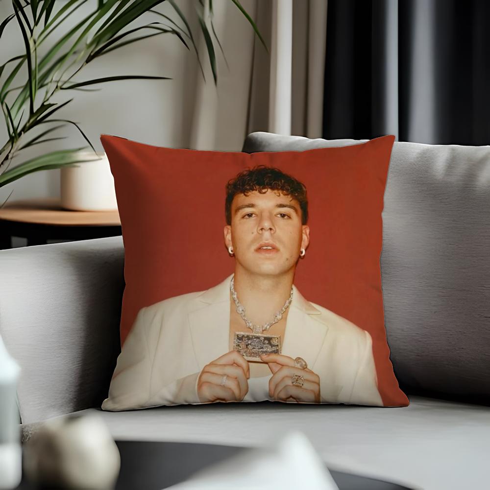 Fashion Qquevadoing Cushion Cover Antidustmite Pillowcase Invisible Zipper Silky Short Plush Sofa Cushion Cover