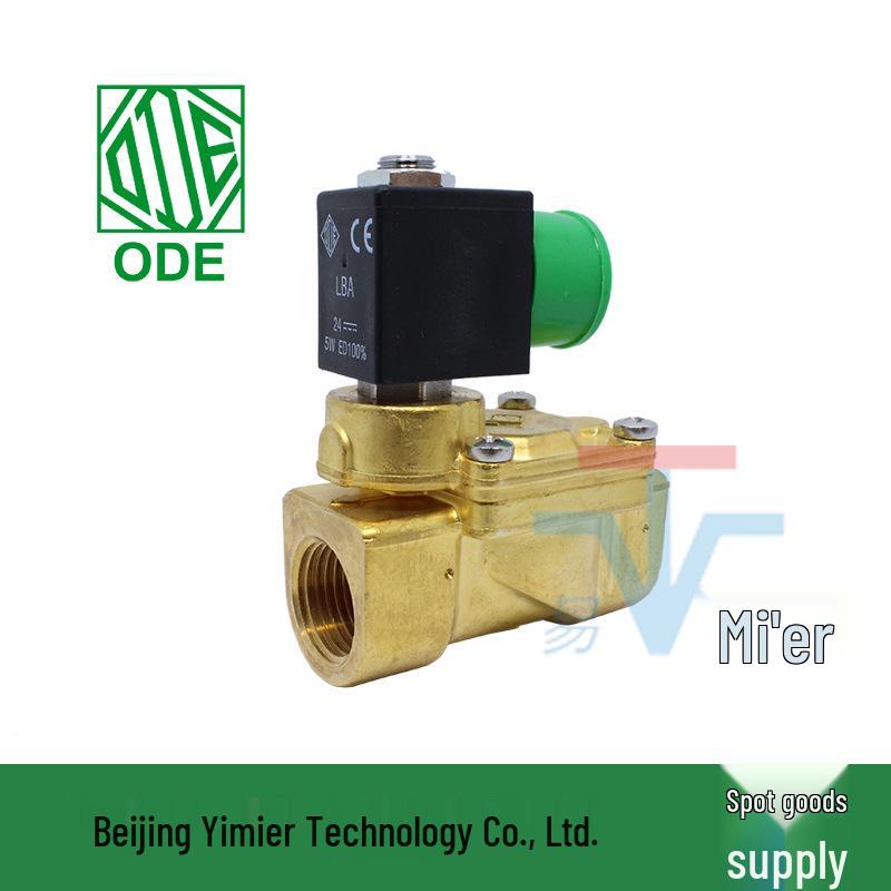Solenoid Valve 21WA4R0B130 110V DN15 Two-Way Pilot Water Switch