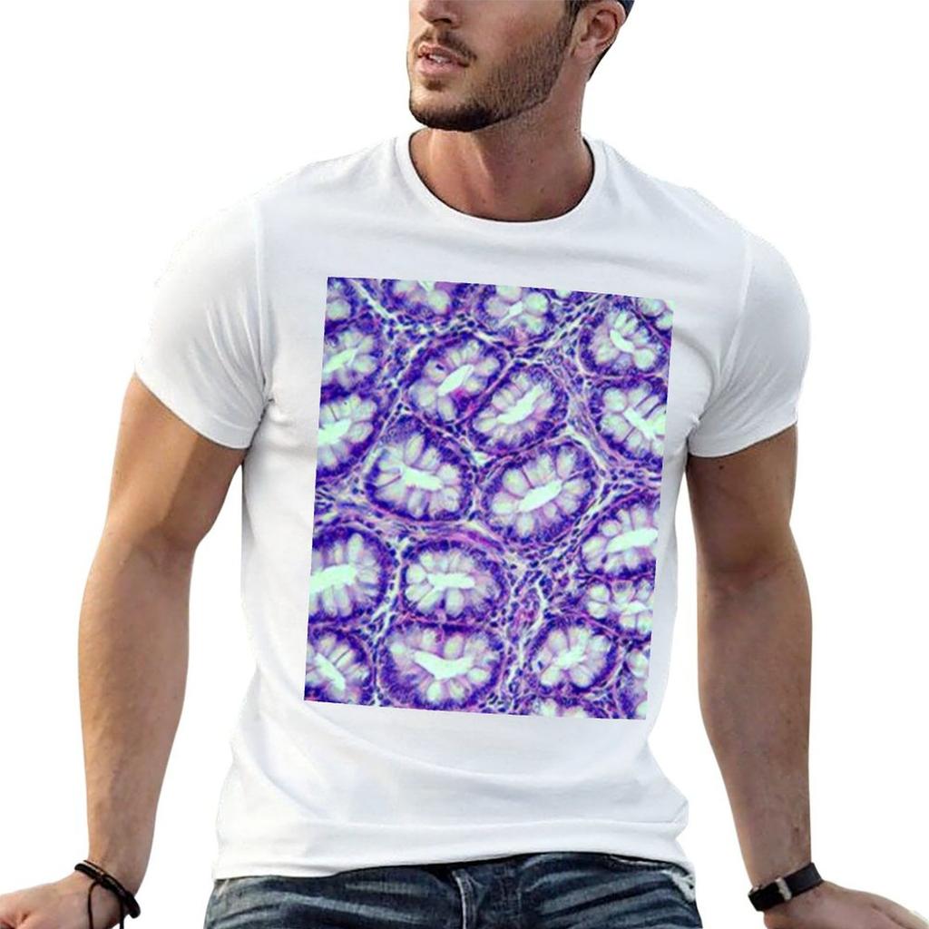 Lieberkhun Colon Tshirt T Shirt Unisex Luxury Unisex T Shirts For Unisex Casual T Shirts For Unisex Cotton Tshirt