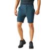 Regatta Mens Travel Light Packaway Shorts