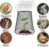 Cubiertas de Campana para Plantas 5 Piezas/set Jaula de Protección para Frutas y Verduras Evita que Conejos Ardillas Gallinas Pájaros se Acerquen