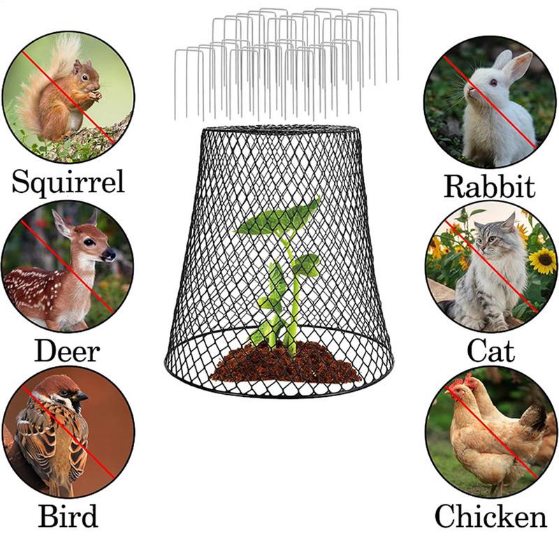Cubiertas de Campana para Plantas 5 Piezas/set Jaula de Protección para Frutas y Verduras Evita que Conejos Ardillas Gallinas Pájaros se Acerquen