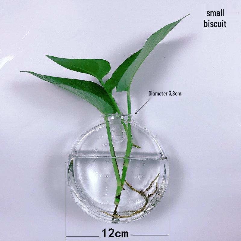 Creative Wall-Mounted Transparent Glass Vase for Plants and Fish
