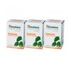 Guduchi Set (Giloy) (3 X 60 Tabs, 250 Mg), Guduchi (Giloy) Set,