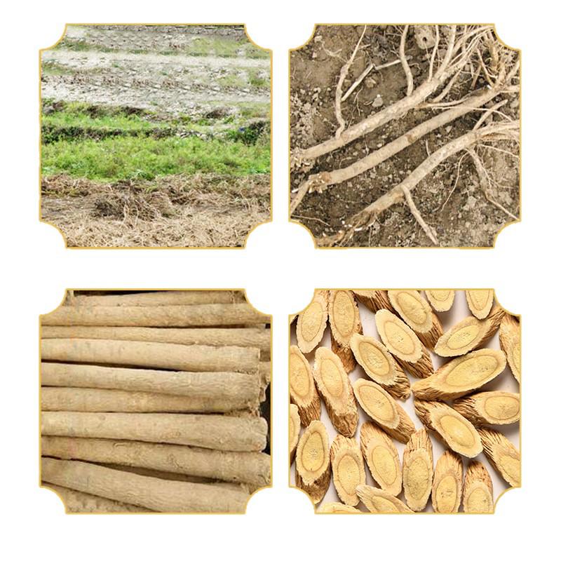 Authentic Gansu Wild Astragalus 500g - Premium Chinese Herbal Medicine Slices for Soup & Infusion