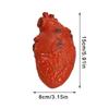 Halloween Horror Bloody Fake Brain Heart Props Lifelike Simulation Human Organ Decorations For Spooky Home Party Decorations