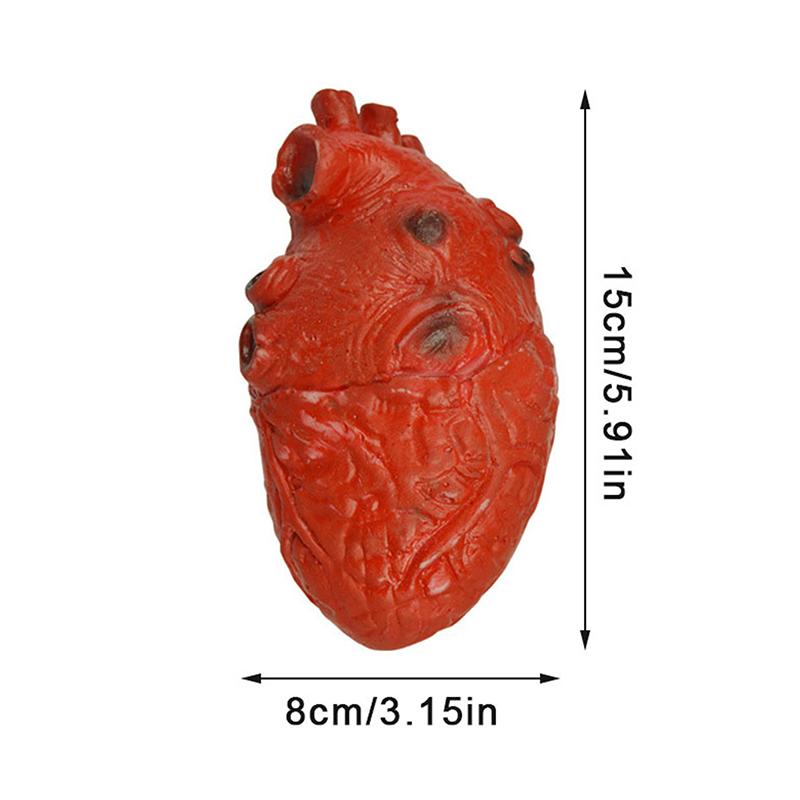 Halloween Horror Bloody Fake Brain Heart Props Lifelike Simulation Human Organ Decorations For Spooky Home Party Decorations