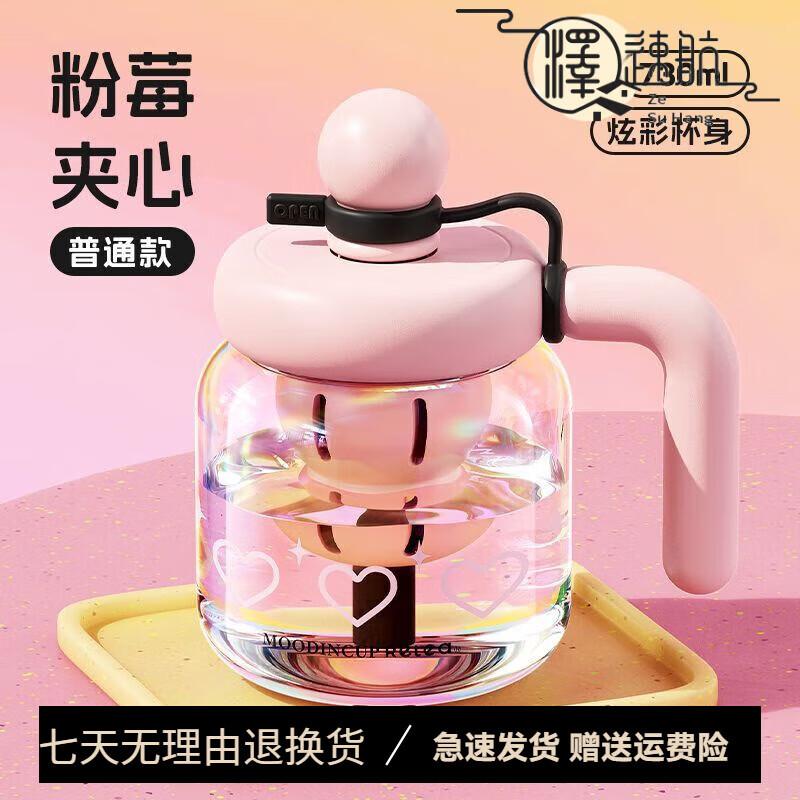 WUSENWU High Borosilicate Glass Tea Infuser Bottle with Handle, 730ml