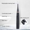 Dental Scaler Ultrasonic Scaler Tooth Cleaner Dental Stone Removal Electric Sonic Plaque Remover for Teeth Stain Tartar