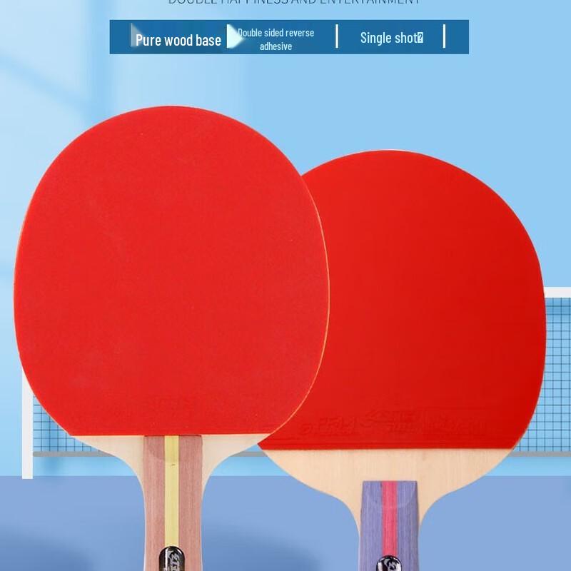 DHS 2-Star Table Tennis Racket
