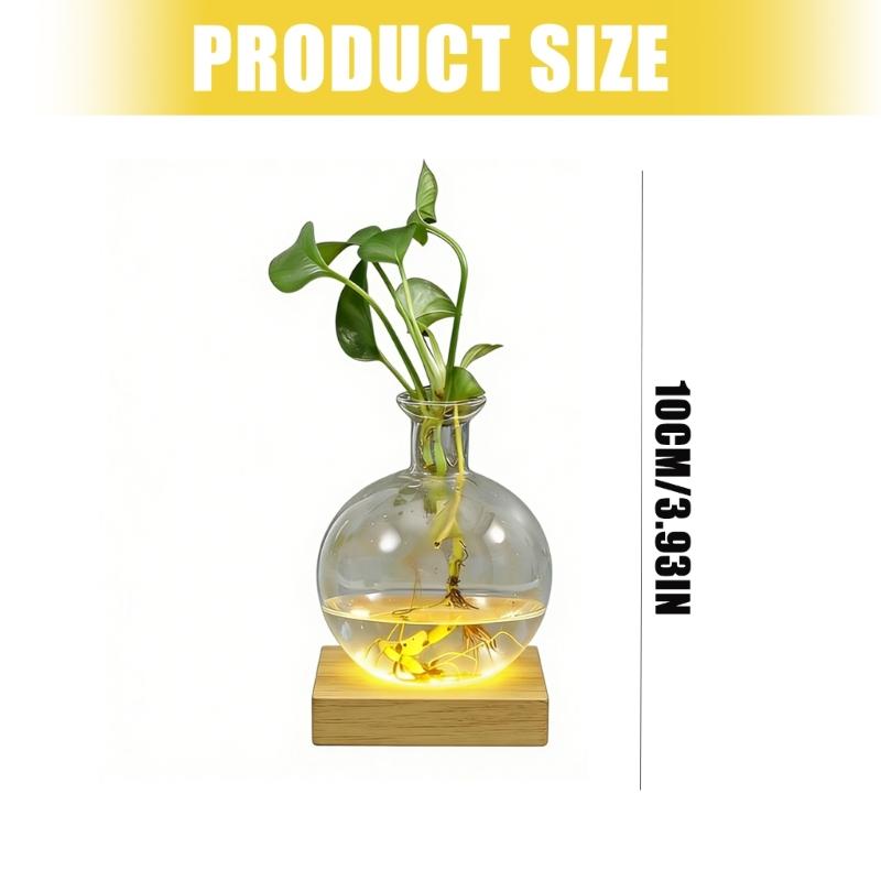 LED Illuminated Hydroponic Glass Vases For Visible Plant Root Growth Display And Ambients Night Light Decoration Home Office