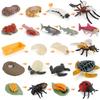 Animal Model Set Pvc Collectible Insect Bird Reptile Amphibian For Education And Display