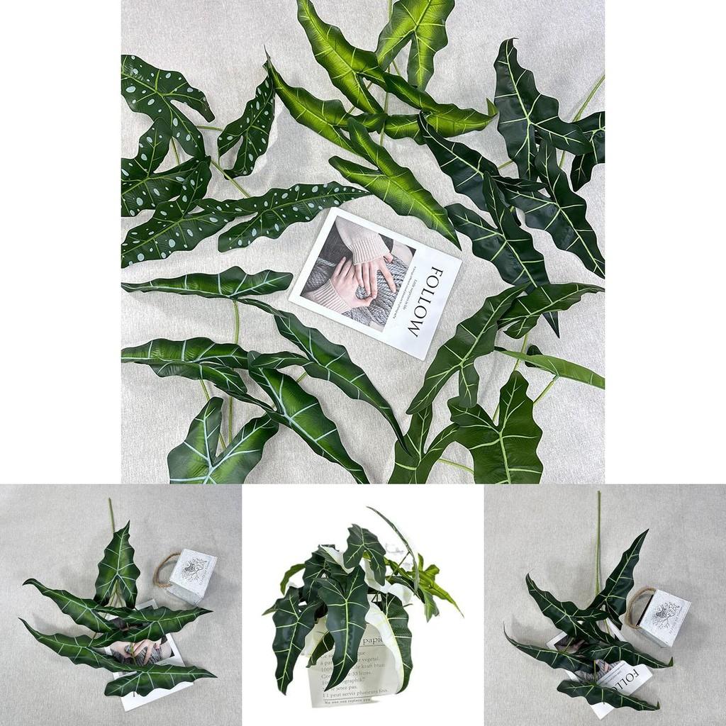 Alocasia Odora Plastik Grünpflanze mit lebhaften Blattfarben für Hochzeitsveranstaltungen und Heimgebrauch