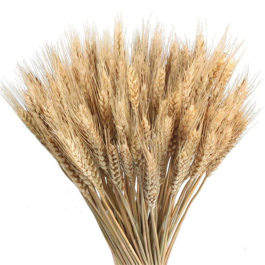 Straw Dried Flower Home DIY Decoration