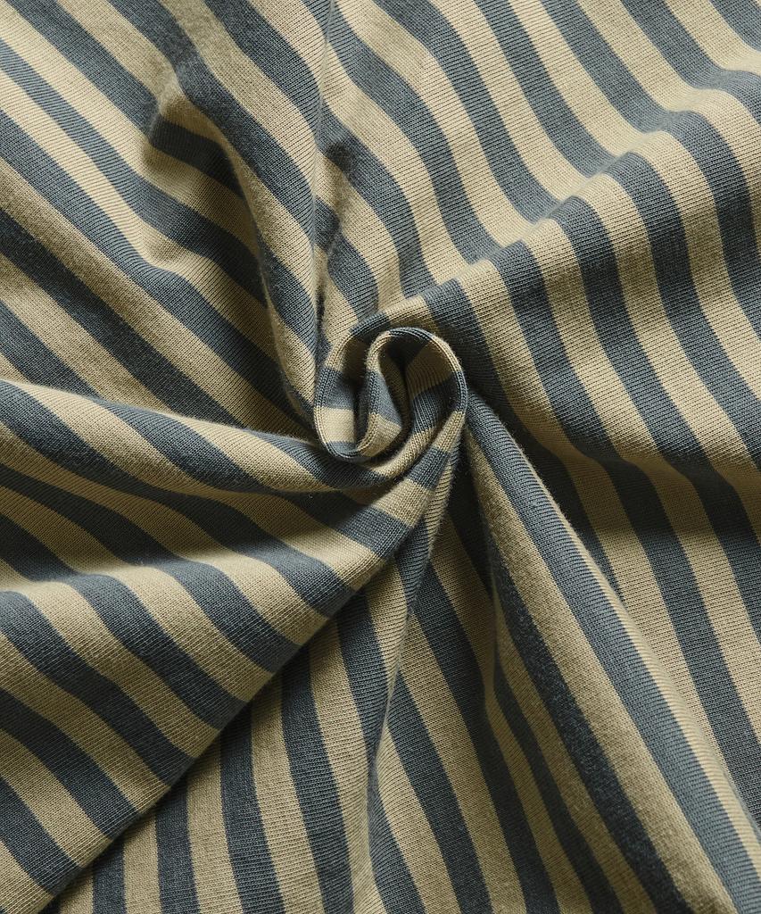 Dimiteulibeullaeg Vlad Blend Stripe Ringer Short Sleeve T-Shirt_Yellow & Green