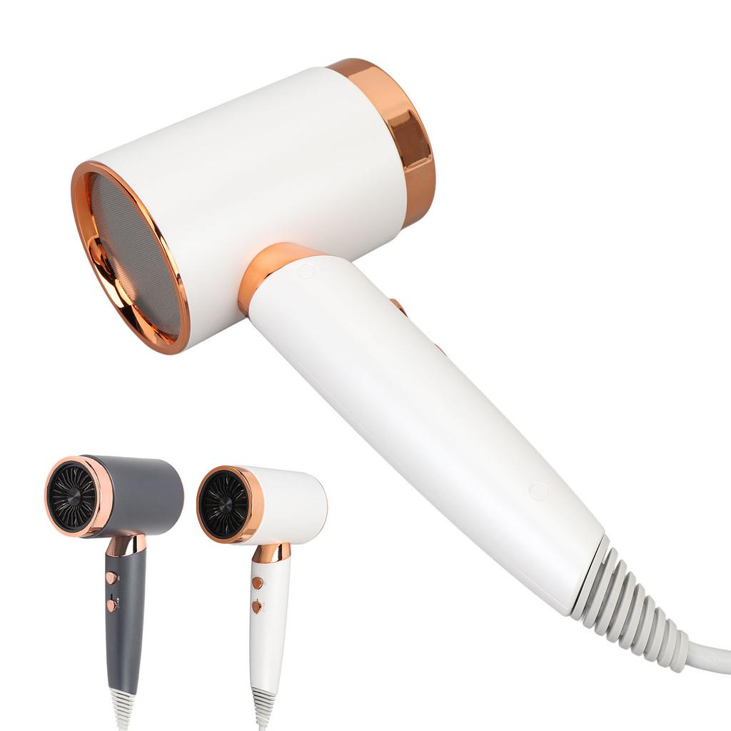 Negative Ion Hair Dryer 1400W 20000RPM High Speed Temperature Control Sensor Professional Low Noise